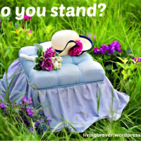 Do You Stand Giveaway