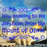 Go UP to Jerusalem. Have you ever heard you go UP to Jerusalem? This post provides 5 scripture regarding God's promises about Jerusalem.