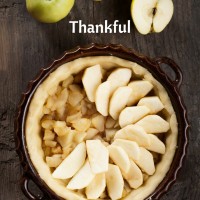 Giving thanks. Have you ever forgotten to be thankful? This post contains 4 scripture versus reminding us of the power of giving thanks to God.