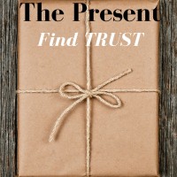 Have you ever wanted something – really wanted – yet you weren’t sure how to get it – or even if you could get it? And felt trust was your first step? Then this post is written for you.
