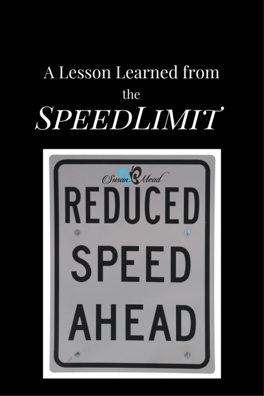 A Lesson Learned from the Speed Limit • SusanBMead