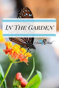 God created life in the garden. Motion and movement create life in your garden, inviting you and a host of lovely creatures into your own yard.
