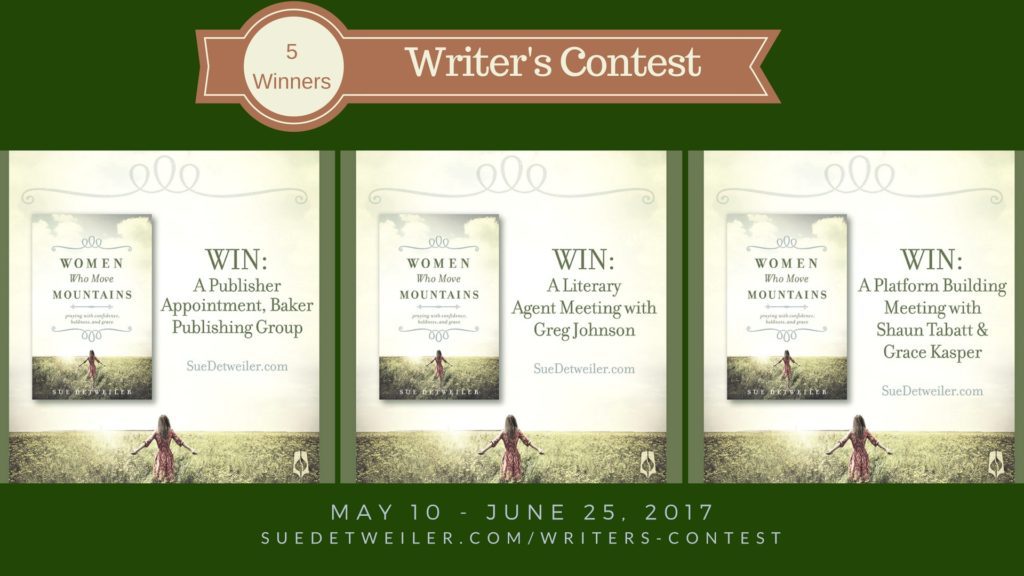 Have you dreamed of sharing your idea with a big publisher? Now is your chance! Pitch your idea. Share your vision. Get feedback. Enter the writer's contest
