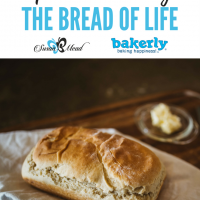 God heard my need, even though it is small, very small, He is a God of the details. Thank You, O Bread of Life, for hearing my need and sending bread directly to my doorsteps.
