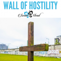 The Wall of Hostility. Oh how we abhor being on the outside looking in, uninvited, unwanted, unwelcome. Jesus tore down the wall, inviting us & uniting us.