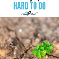 Breaking up is hard, hard, hard to do. Have you ever tried to break up? Simply H.A.R.D. Here’s the dirt on that… All that clay and those dirt clumps resist everything you through their way to break them up. Yes, we’re getting the scoop on breaking up dirt and clay today to create great garden dirt.