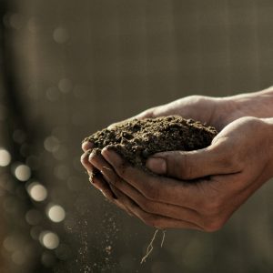 Great soil that is easy to work in. That is what we want to create for our garden. Find out how to take clay to crumbly healthy dirt.