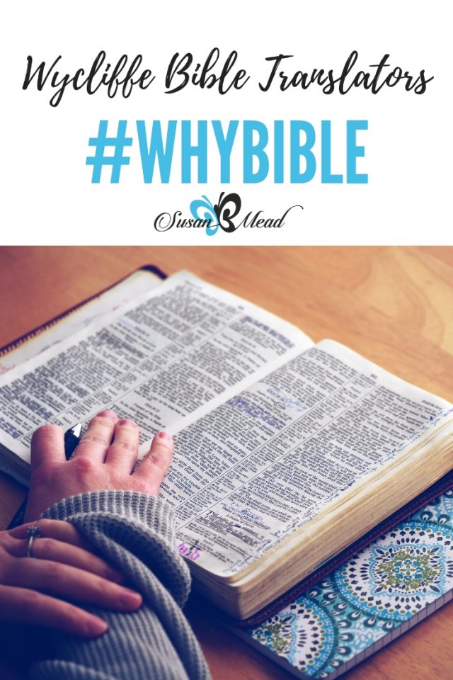 The Significance Of The #WhyBible Campaign Launch • SusanBMead